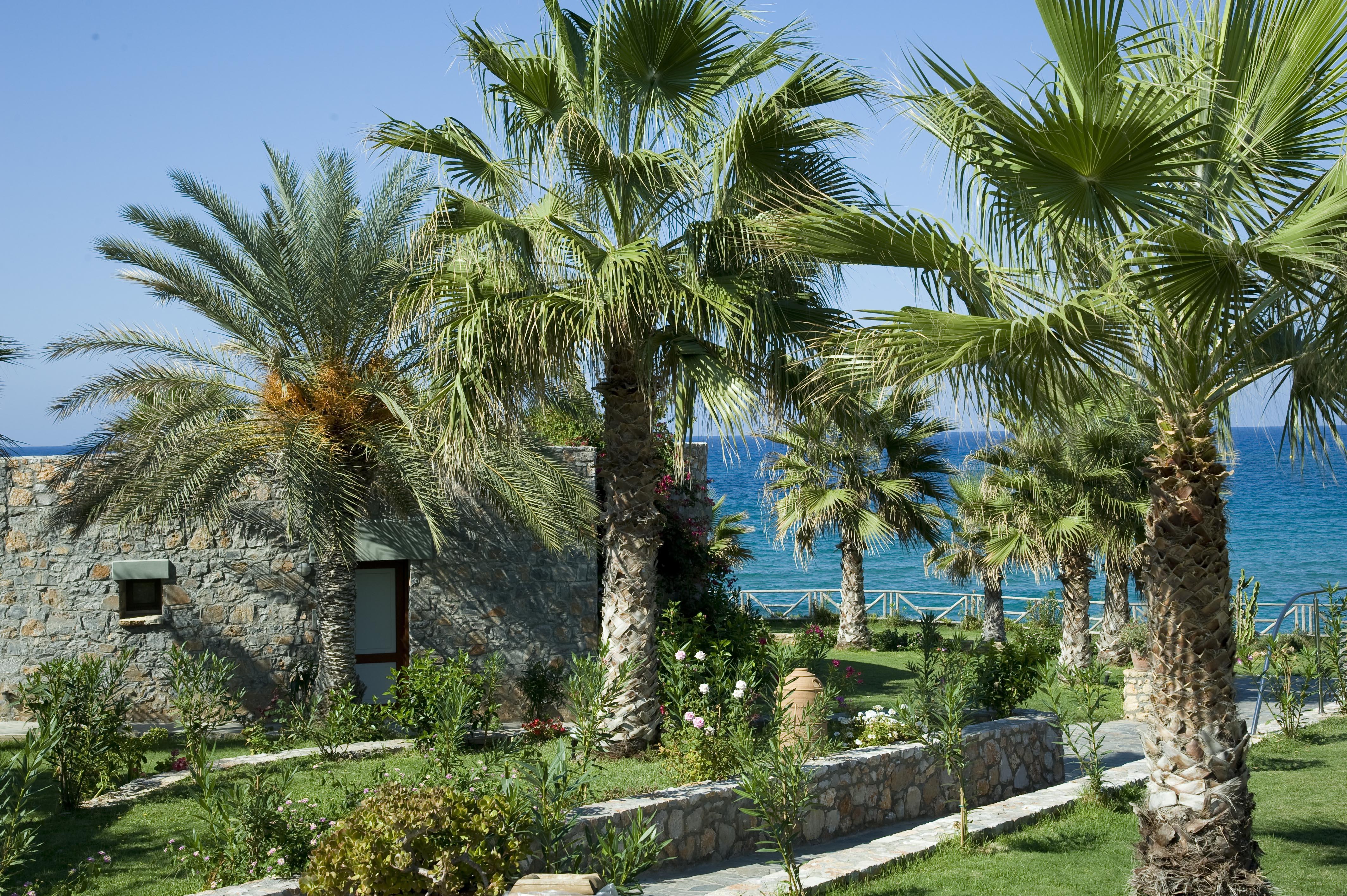 Ikaros Beach, Luxury Resort & Spa - Adults Only Mália Exterior foto